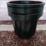 buy "12" inch black pots online